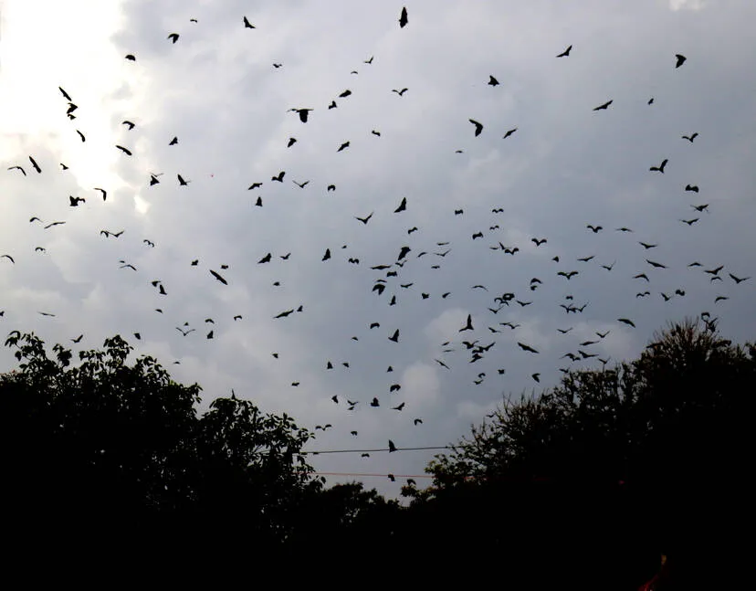 Kerala Kaumudi Photo Gallery