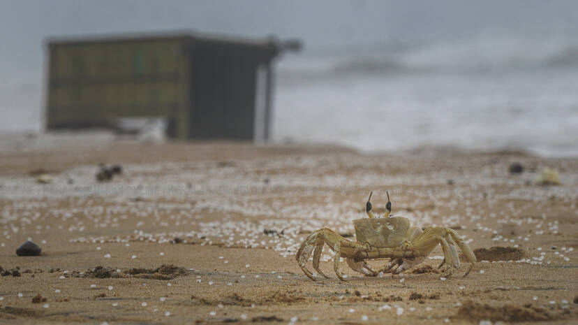 Kerala Kaumudi Photo Gallery