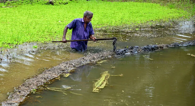 Kerala Kaumudi Photo Gallery