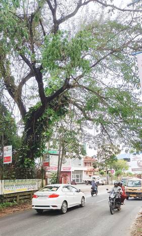 Kerala Kaumudi Photo Gallery