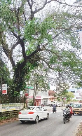 Kerala Kaumudi Photo Gallery