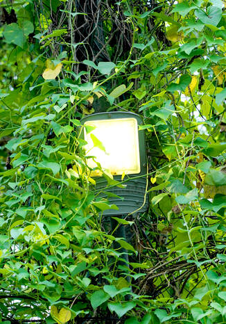 Kerala Kaumudi Photo Gallery