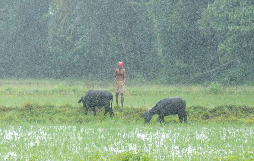 Kerala Kaumudi Photo Gallery
