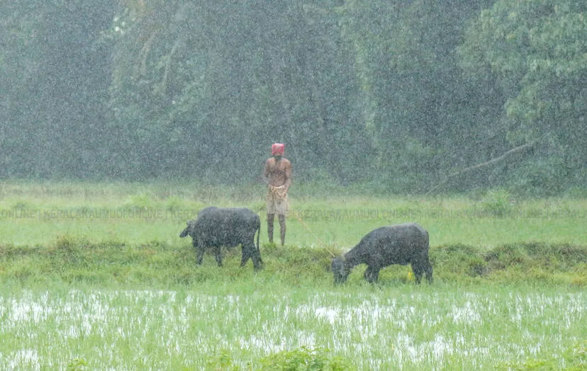 Kerala Kaumudi Photo Gallery