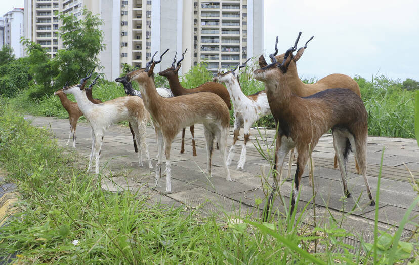 Kerala Kaumudi Photo Gallery