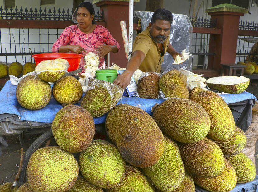 Kerala Kaumudi Photo Gallery