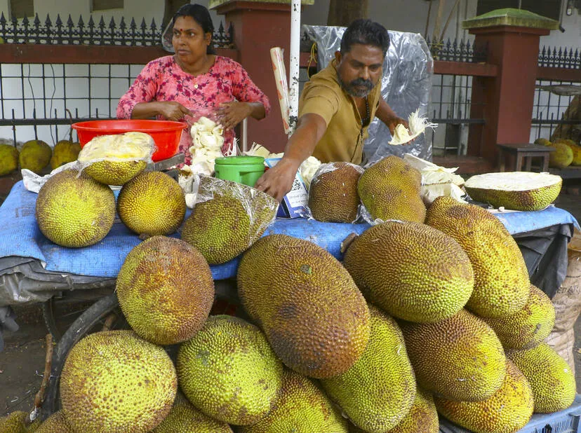 Kerala Kaumudi Photo Gallery