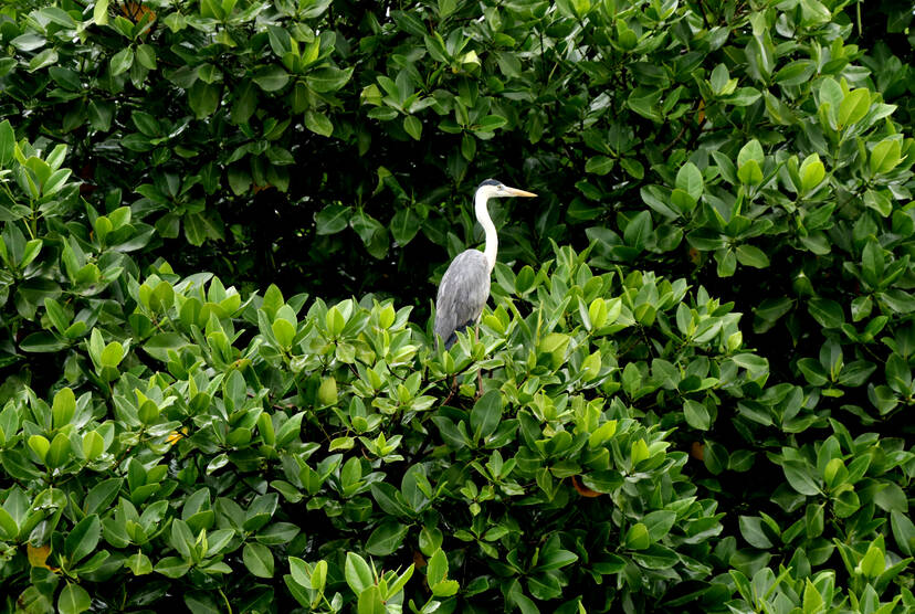 Kerala Kaumudi Photo Gallery