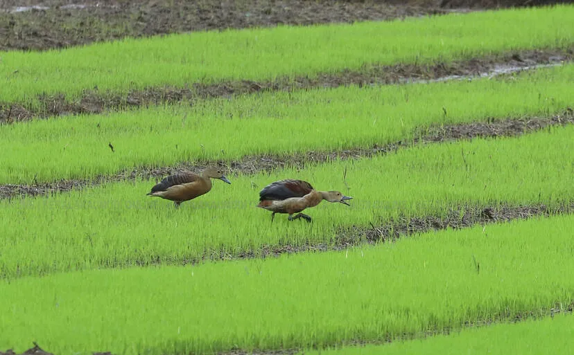 Kerala Kaumudi Photo Gallery