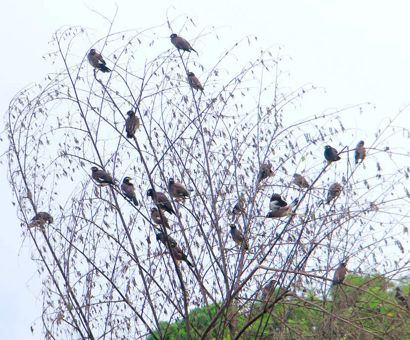 Kerala Kaumudi Photo Gallery