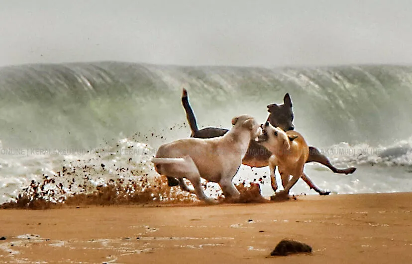 Kerala Kaumudi Photo Gallery