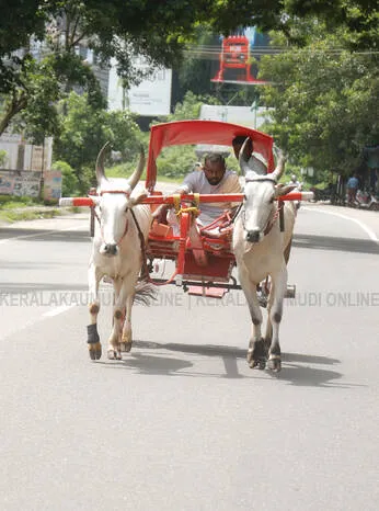 Kerala Kaumudi Photo Gallery