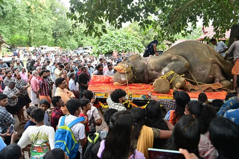 Kerala Kaumudi Photo Gallery