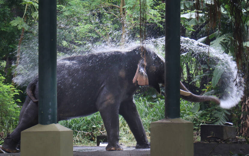 Kerala Kaumudi Photo Gallery