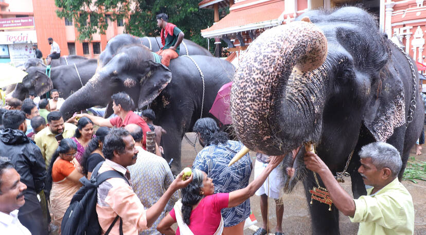 Kerala Kaumudi Photo Gallery