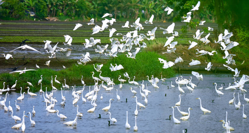 Kerala Kaumudi Photo Gallery