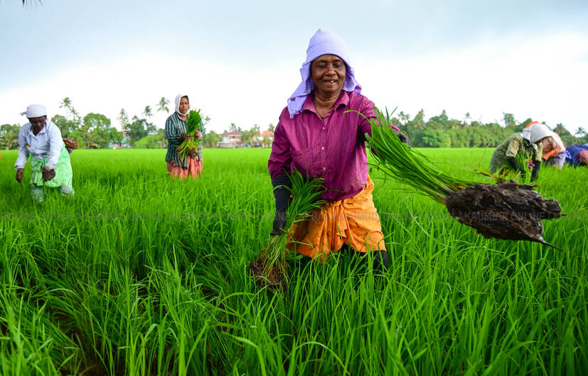 Kerala Kaumudi Photo Gallery