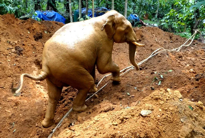 Kerala Kaumudi Photo Gallery
