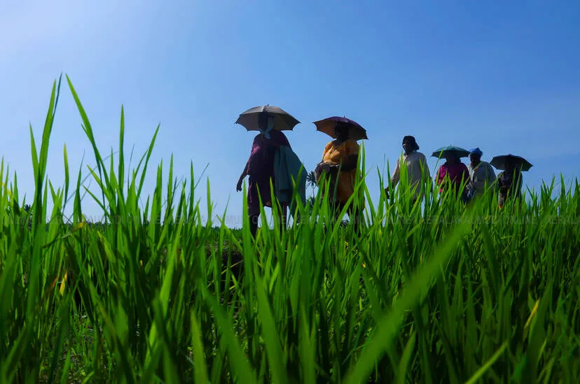 Kerala Kaumudi Photo Gallery