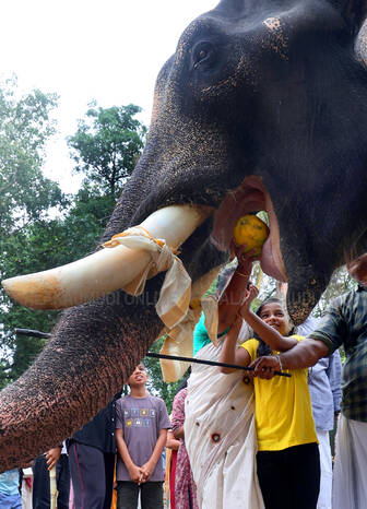 Kerala Kaumudi Photo Gallery