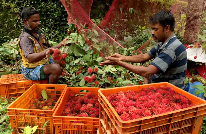 Kerala Kaumudi Photo Gallery