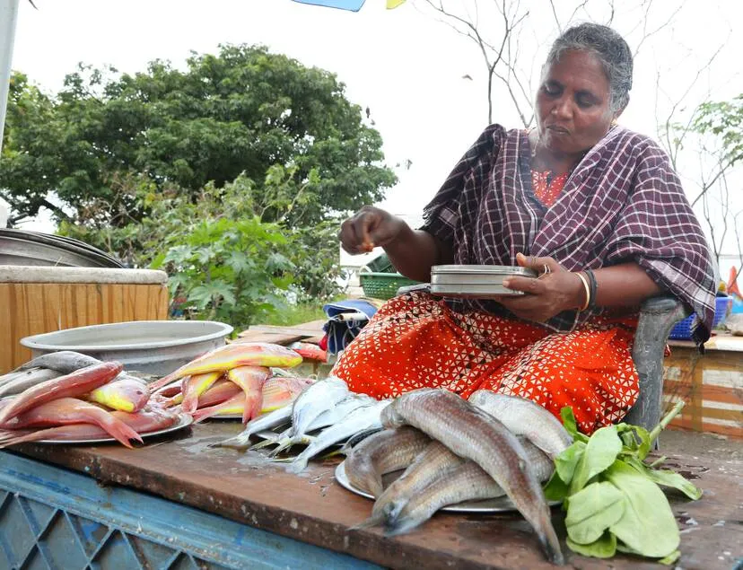 Kerala Kaumudi Photo Gallery