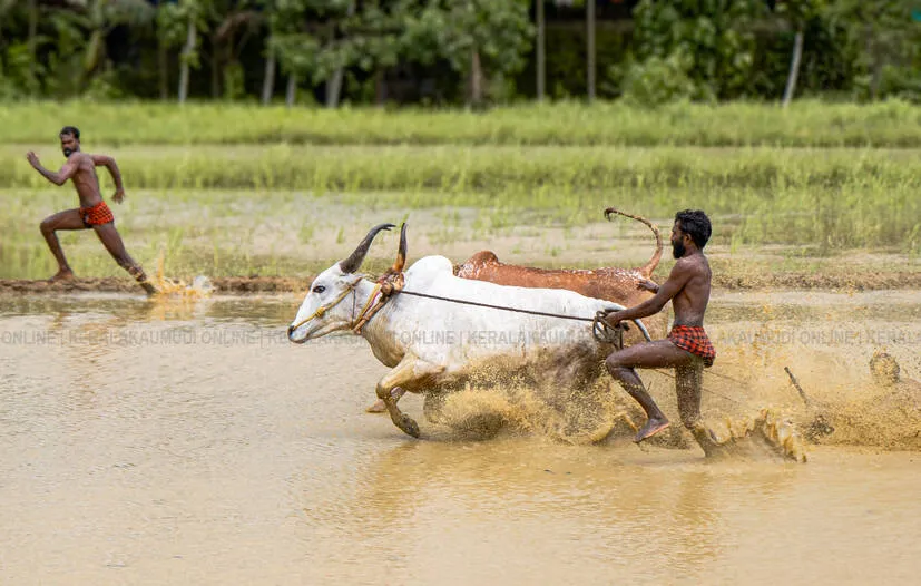 Kerala Kaumudi Photo Gallery