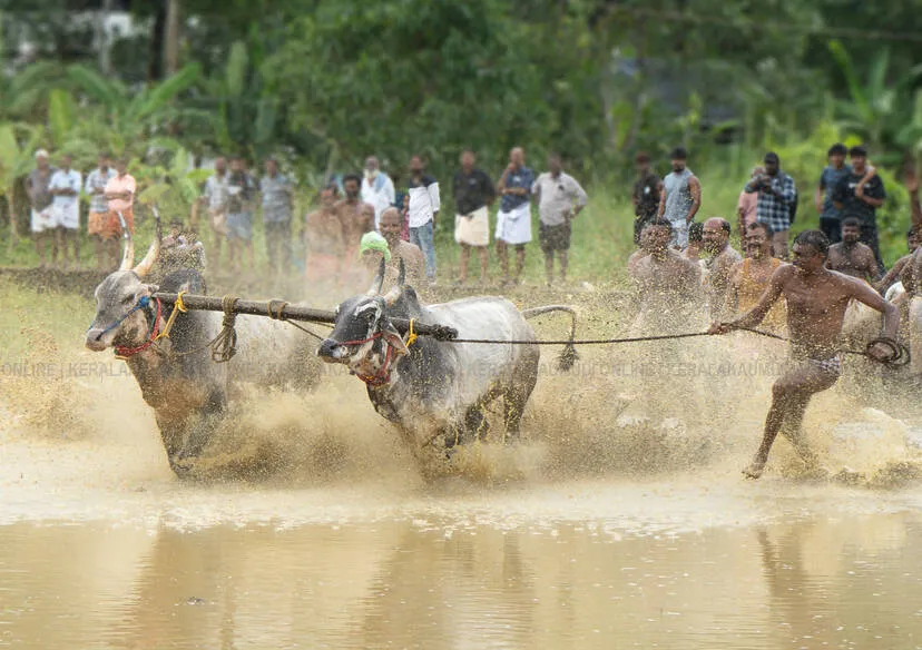 Kerala Kaumudi Photo Gallery