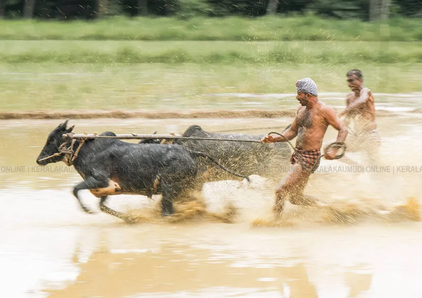 Kerala Kaumudi Photo Gallery