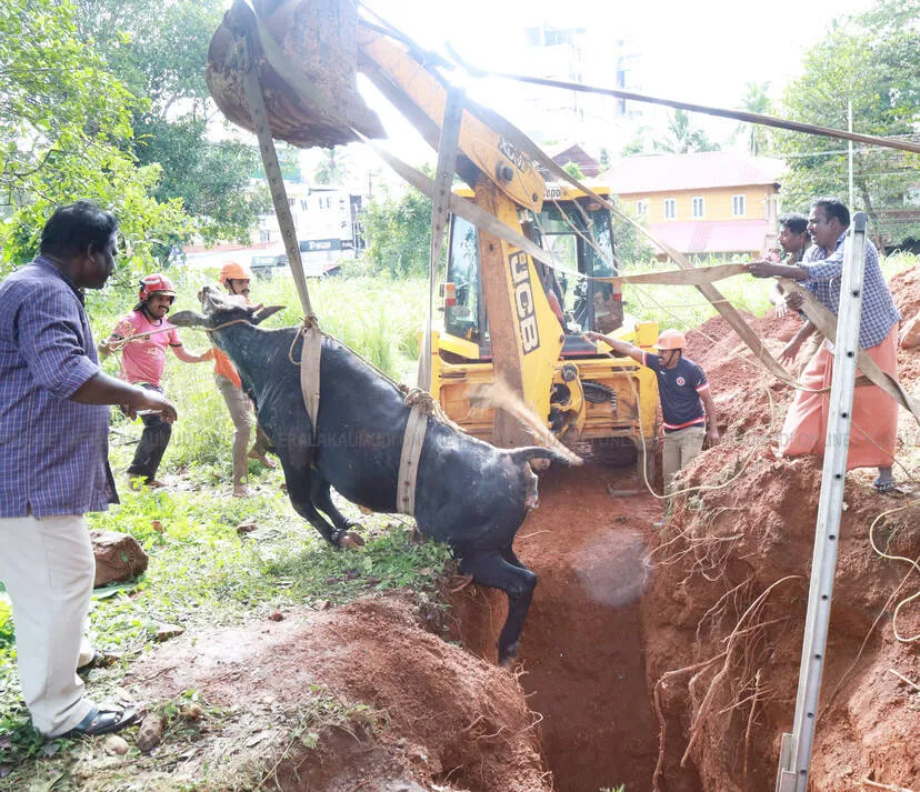 Kerala Kaumudi Photo Gallery