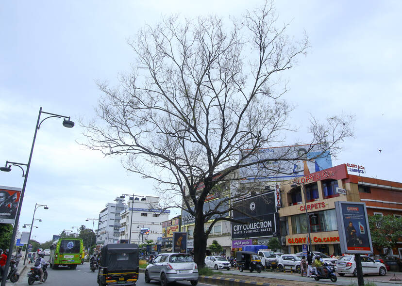 Kerala Kaumudi Photo Gallery