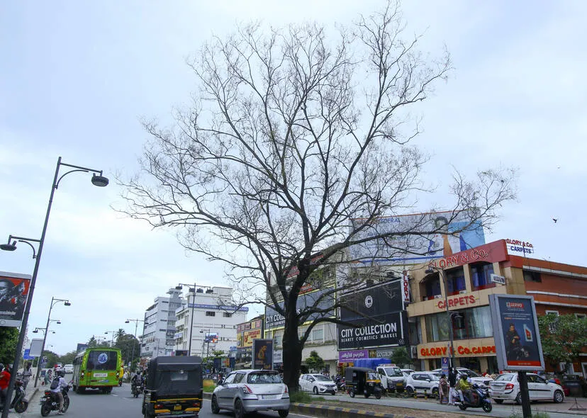 Kerala Kaumudi Photo Gallery