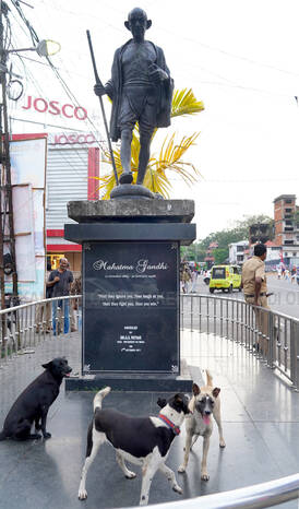 Kerala Kaumudi Photo Gallery