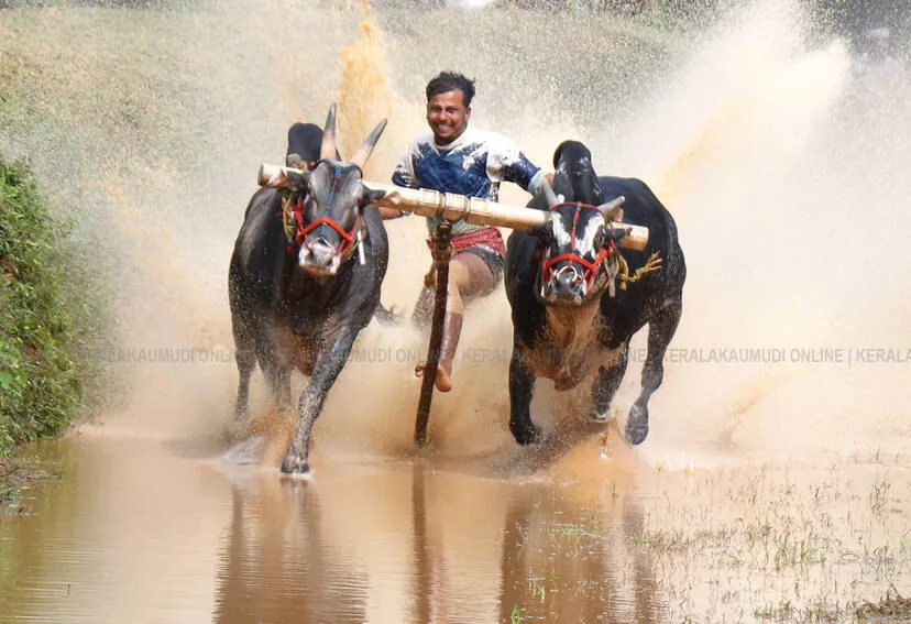 Kerala Kaumudi Photo Gallery