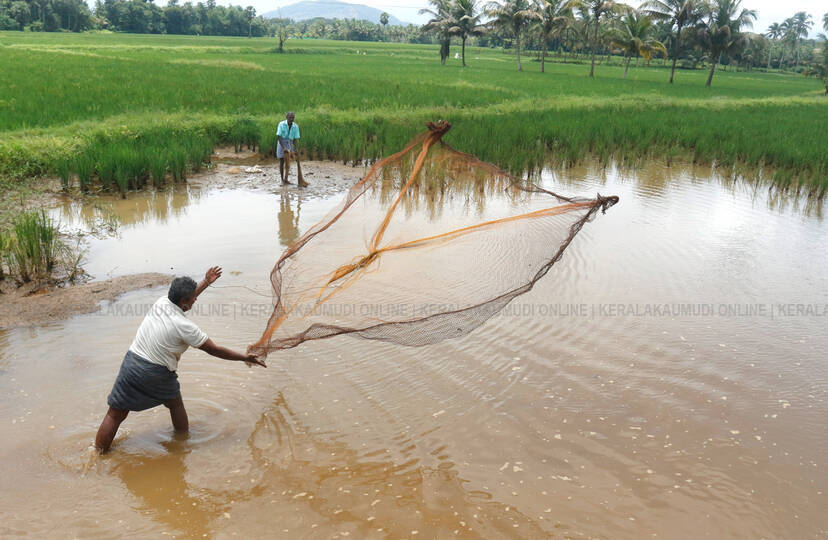 Kerala Kaumudi Photo Gallery