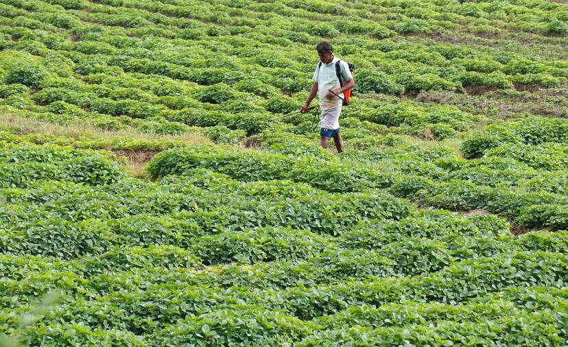 Kerala Kaumudi Photo Gallery