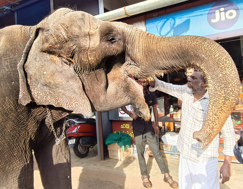 Kerala Kaumudi Photo Gallery