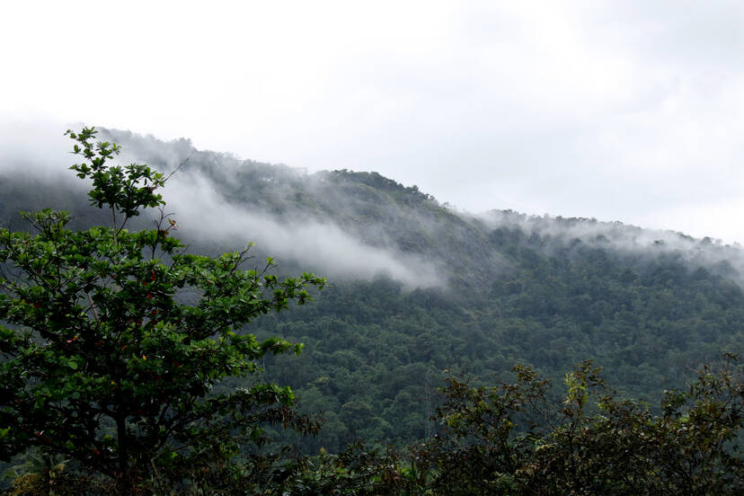 Kerala Kaumudi Photo Gallery