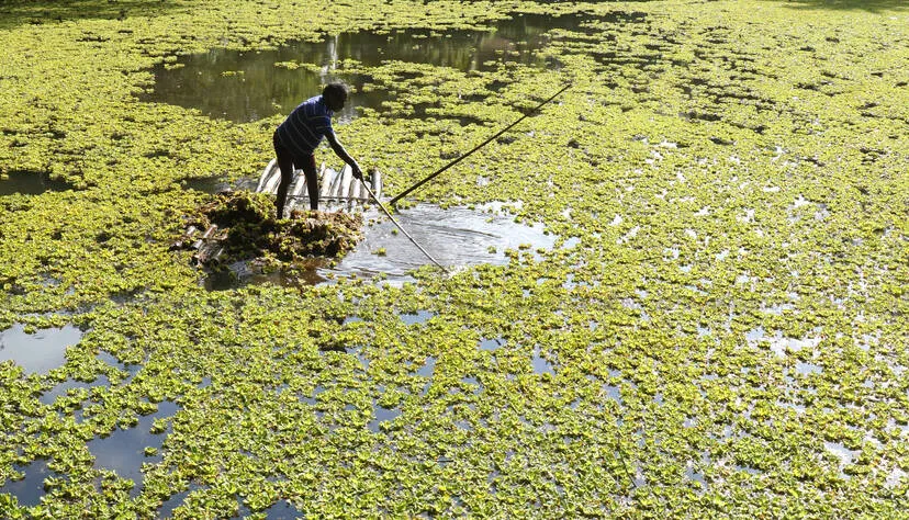 Kerala Kaumudi Photo Gallery