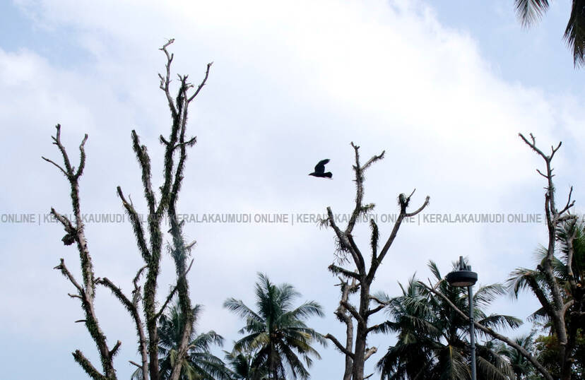 Kerala Kaumudi Photo Gallery