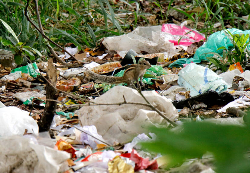 Kerala Kaumudi Photo Gallery