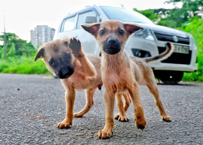 Kerala Kaumudi Photo Gallery