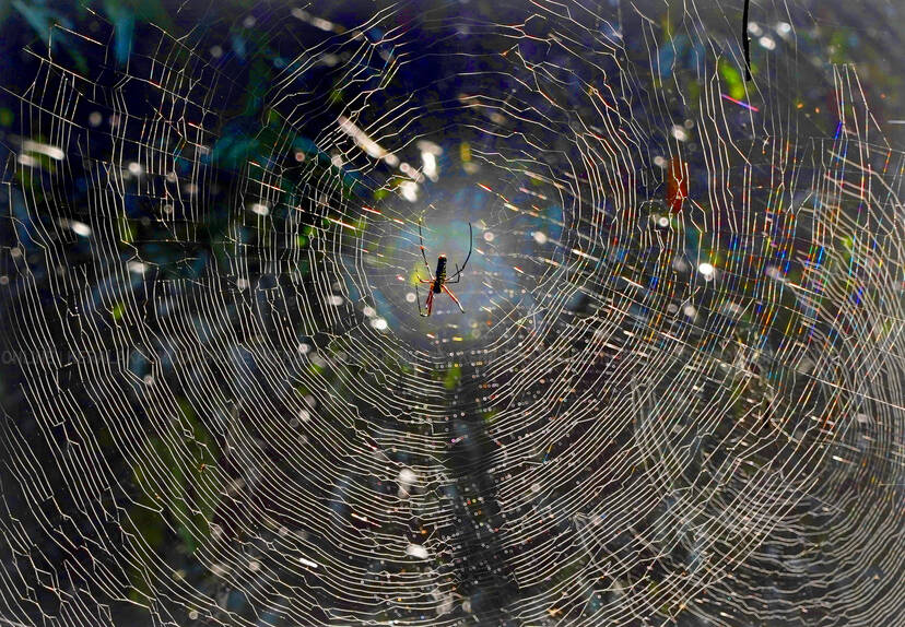 Kerala Kaumudi Photo Gallery