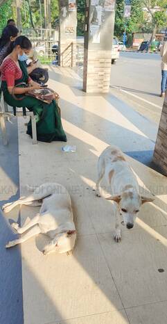 Kerala Kaumudi Photo Gallery