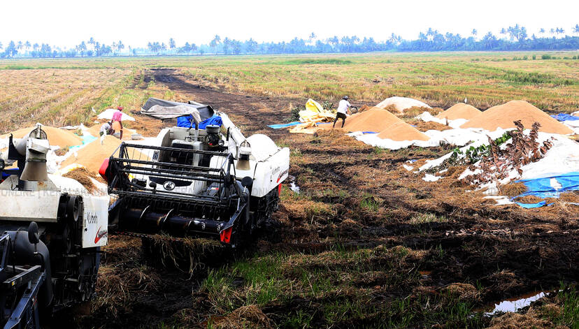 Kerala Kaumudi Photo Gallery