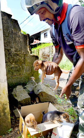 Kerala Kaumudi Photo Gallery