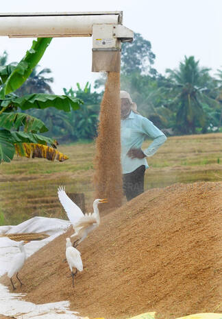 Kerala Kaumudi Photo Gallery