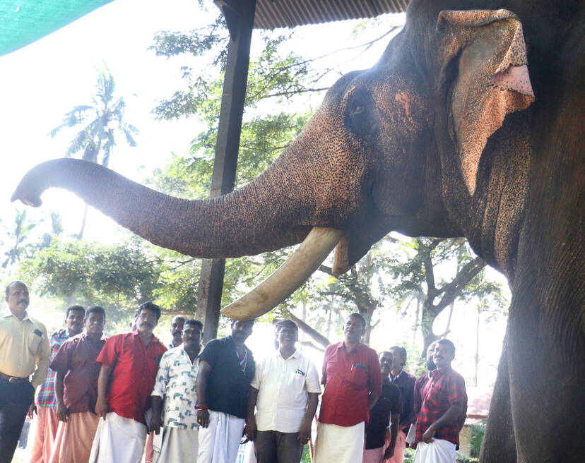 Kerala Kaumudi Photo Gallery