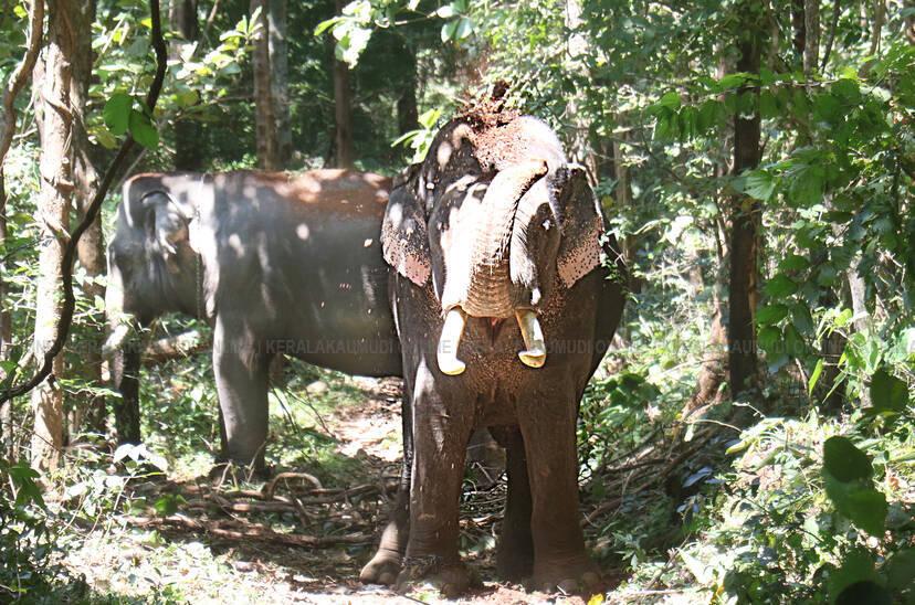 Kerala Kaumudi Photo Gallery