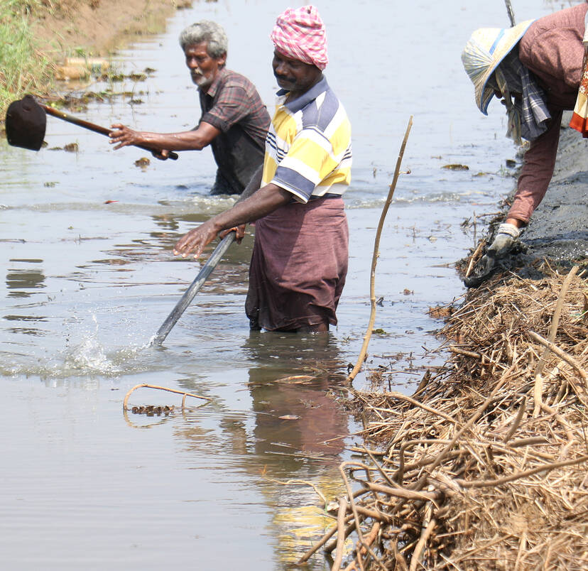 Kerala Kaumudi Photo Gallery